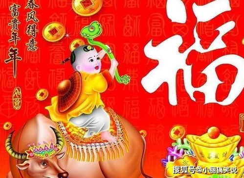 三、 生肖猪——福星高照的“温暖宝箱”
