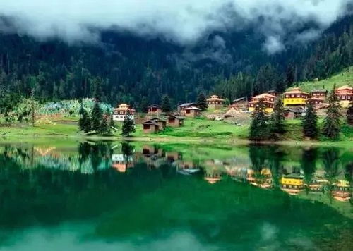 雅安：惊喜与失望并存