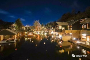 美术馆的量子纠缠：水瓶座与玻璃的108种对话