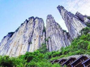 去景区？大巴车就是慢性自杀！