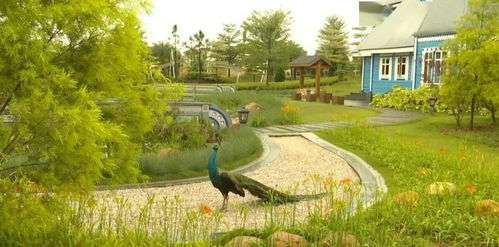 惯与那个金湖畔...