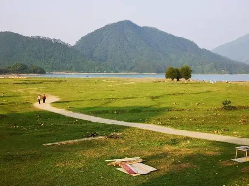 碰见道长家的小狗