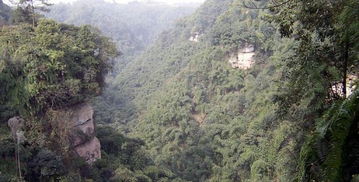 金鸡谷美景， 让人流连忘返