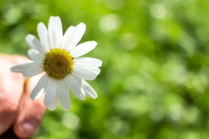 巨蟹座：老男人的春天