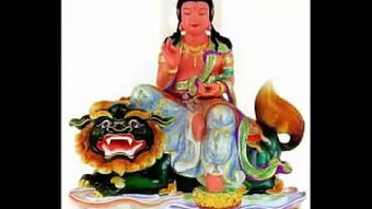 八字陀罗和七煞陀罗分别是什么，它们在命理中有什么含义？