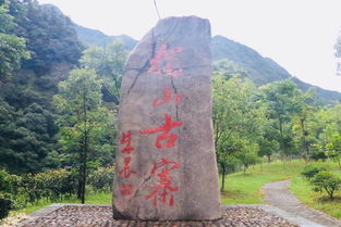 深山老林里到底有啥？
