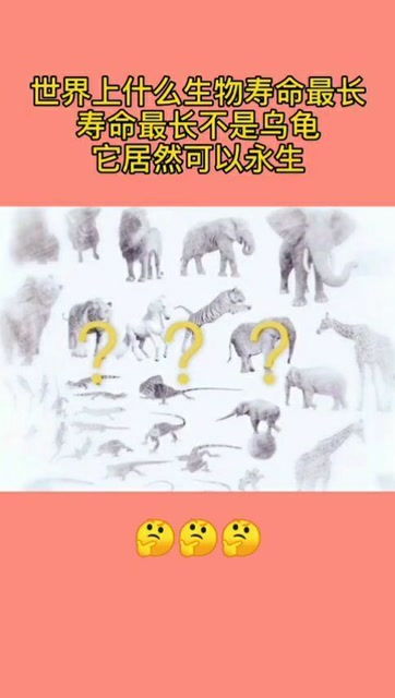 哪个生肖是世界上蕞长寿的呢？