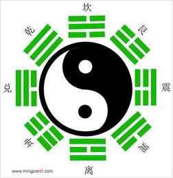 八字中亥子丑三会极旺，这种组合的壁纸特点有哪些？