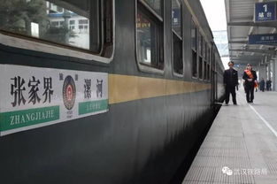 旅游专列的真相：它不是普通火车