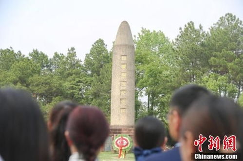 “简单获取”的原因解析
