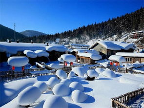 真实案例：2023年边境探索之旅的惊魂时刻 (别吓着!)