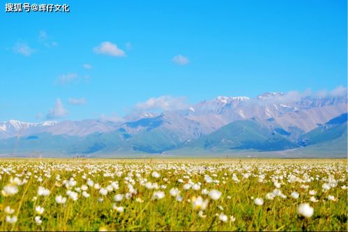 第四天：坎儿井—古老地下水系统 + 免费导览