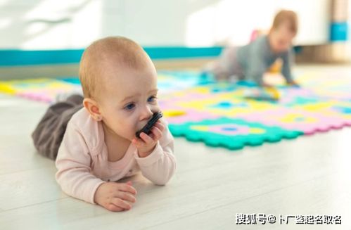 3. 抢菜上桌！炎热门网红起法