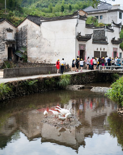 美食攻略：用舌尖感受历史的味道