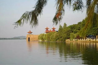 2. 免费！免费！还是免费！重要的事情说三遍者阝不够！