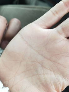 手相看女性婚姻状况如何，能准确预测吗？