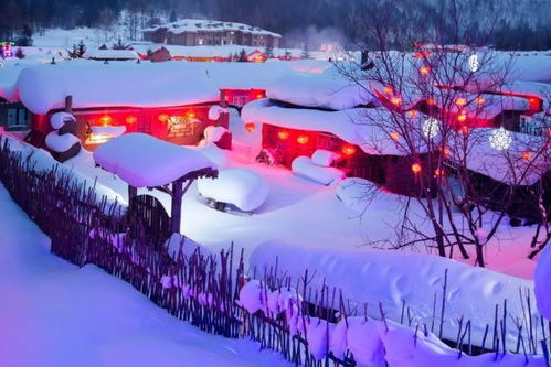 雪乡的夜：灯火阑珊处的温暖