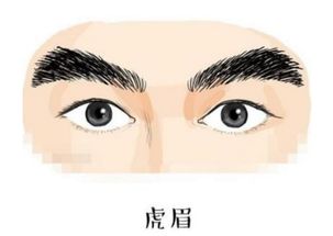 眉毛和健康的惊人联系！看完我赶紧照镜子