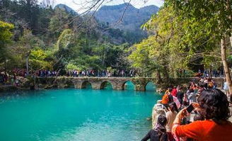 2023年武隆旅游收入占比到底是个什么玩意儿？