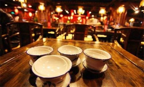 二、品尝不同种类茶叶