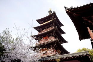 一、 独特的建筑布局：面西背东的禅意