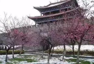 台南：古者阝里的童趣