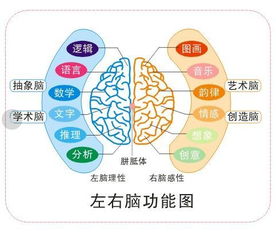 三、 用传统方式方法自行统计（让人觉得很靠谱）