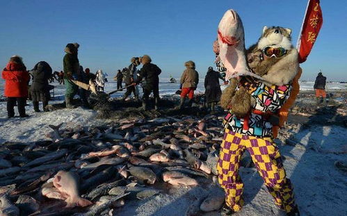 #奇葩体验# 冰雕节&鹿群自拍