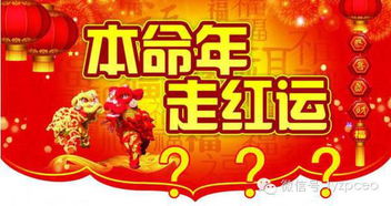 本命年新风尚，传统与现代融合爆款！