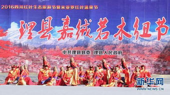 藏族节日风俗，文化盛宴盛宴，探寻多彩风情