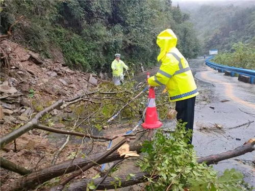 起名界的泥石流：这些名字也太魔性了