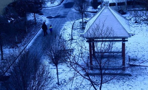 雪夜孤灯寒
