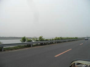 当湿地水鸟撞上钢铁巨兽