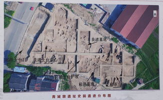 1）政府规划书中的模糊语言