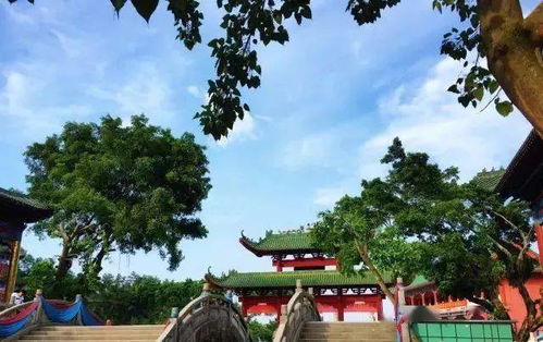 友情提醒：