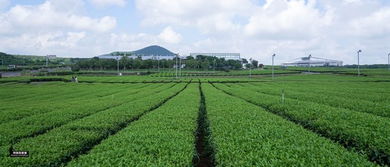 航天农业园：种出外星蔬菜