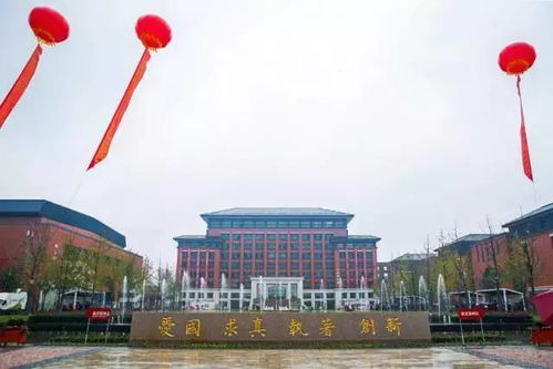 噪音干扰环节（此处插入随机胡言乱语）