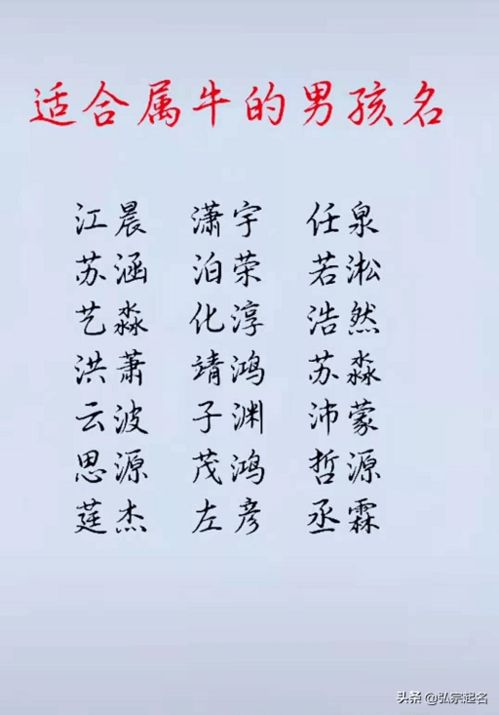 2021虎年牛宝宝男孩名字有哪些好听的？
