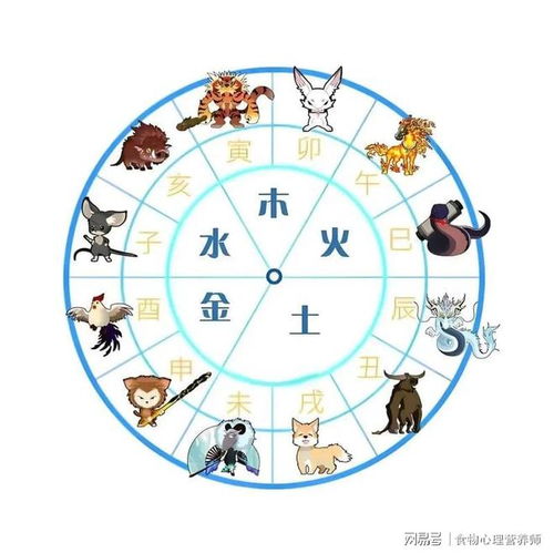 生肖运势对个人规划有怎样的参考价值？