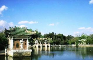 三、 实用指南：让旅行更顺畅
