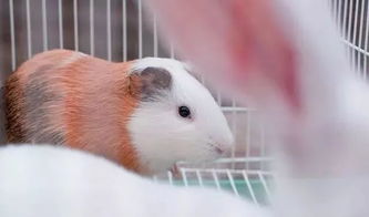 陆续发生的怪事