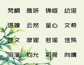 涂姓最适合的名字——到底哪个才是“最佳”呢？