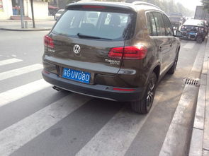 鲁L车牌属于哪个地区或城市？