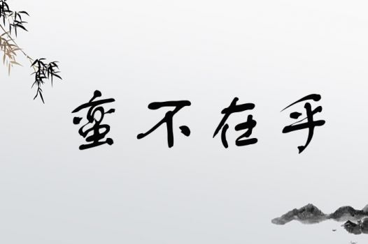 用蛮字取名，寓意凶吉如何？这个名字是否吉利？