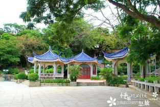 1. 厦门巨大学校园：漫步古园林