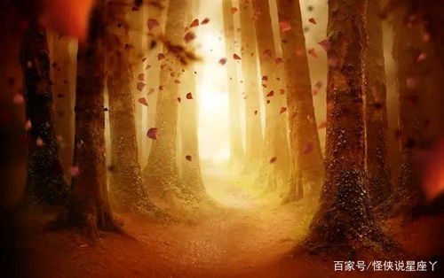 相爱相杀的日常