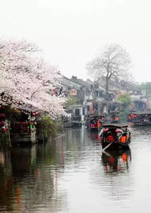 初遇乌镇：一场不太靠谱的旅行