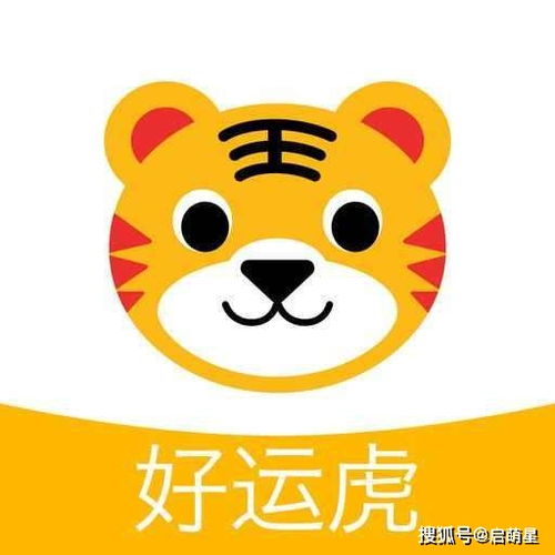 传统方式文化底蕴与现代化审美的融合