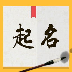 结合生肖、星座、风水的创意商标名字