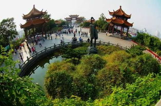 抵达江城：这一夜的冷风与迷路